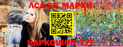 шишки Будённовск
