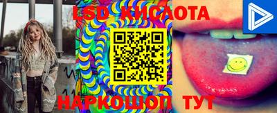 шишки Будённовск