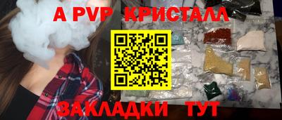 шишки Будённовск