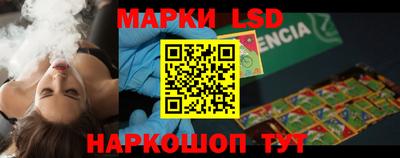 шишки Будённовск