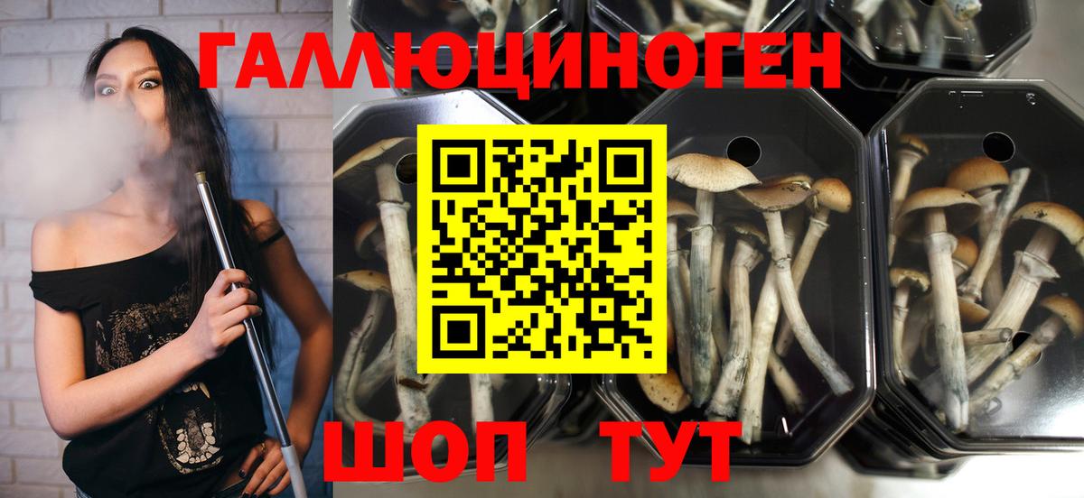 Великие Луки  Галлюциногенные грибы мухоморы  Вход с VPN 